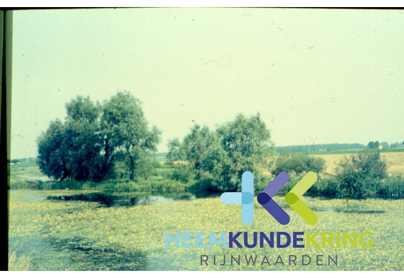 Natuur Oude Rijn Coll. G.B. Janssen (4)